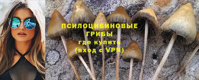 Галлюциногенные грибы Cubensis  МЕГА ссылки  Заозёрный 